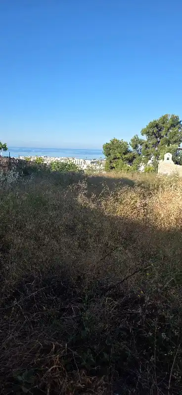 Terreni e lotti in vendita a Calle los Álamos 41A