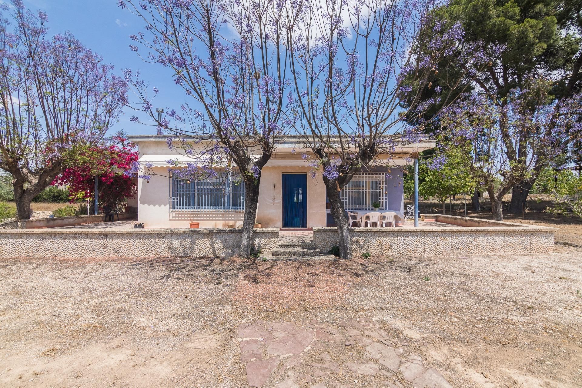 Exterior view of House or chalet for sale in Elche / Elx  with Heating, Private garden and Terrace