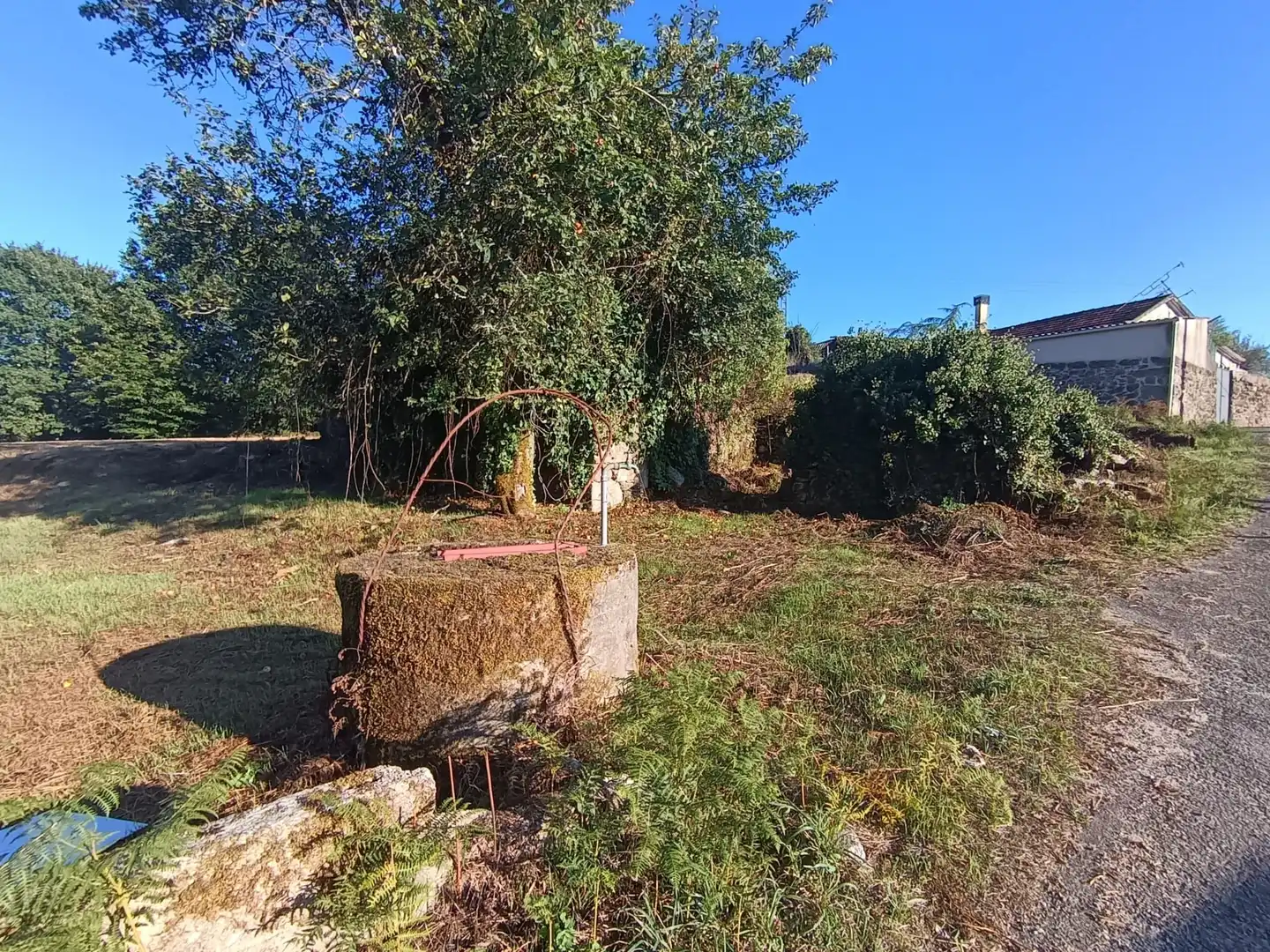 Terreni e lotti in vendita a Lugar Lo Cestás (A),Arcos,, imagen 15