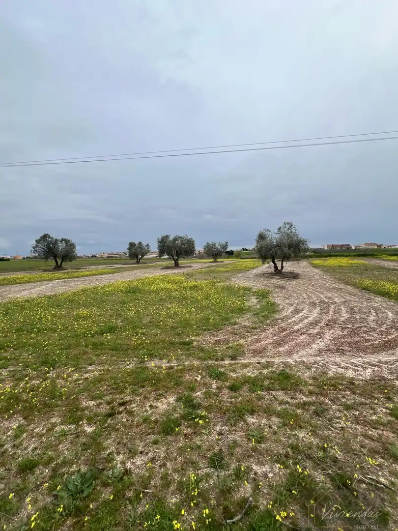 Terreny residencial en venda a El Viso de San Juan, imagen 6
