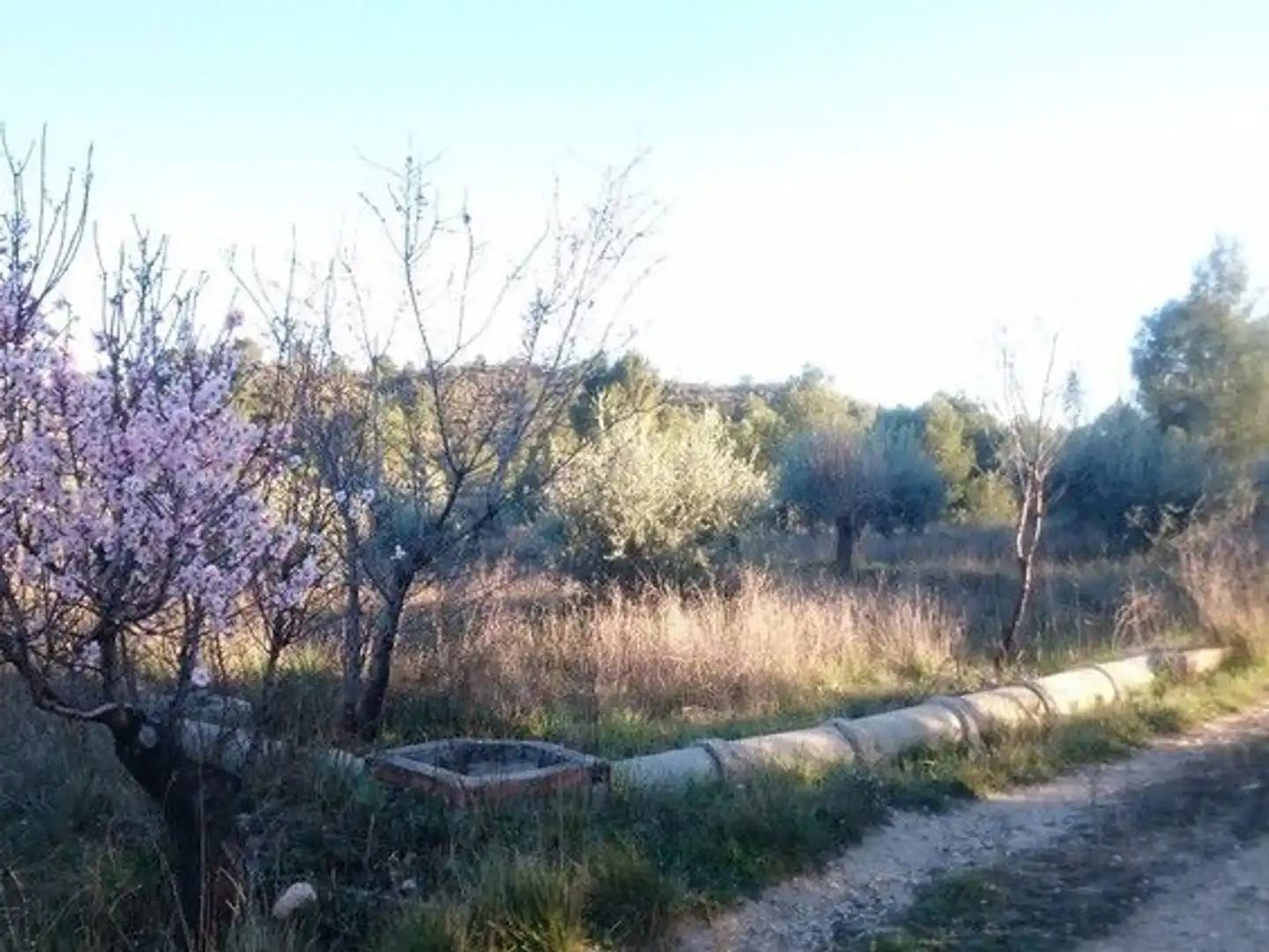 Terreni e lotti in vendita a Moratalla, imagen 5