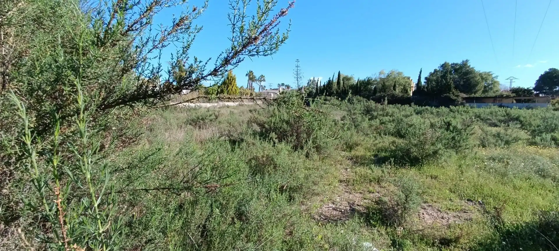 Haus oder Chalet zum Verkauf in Elche / Elx mit Terrasse