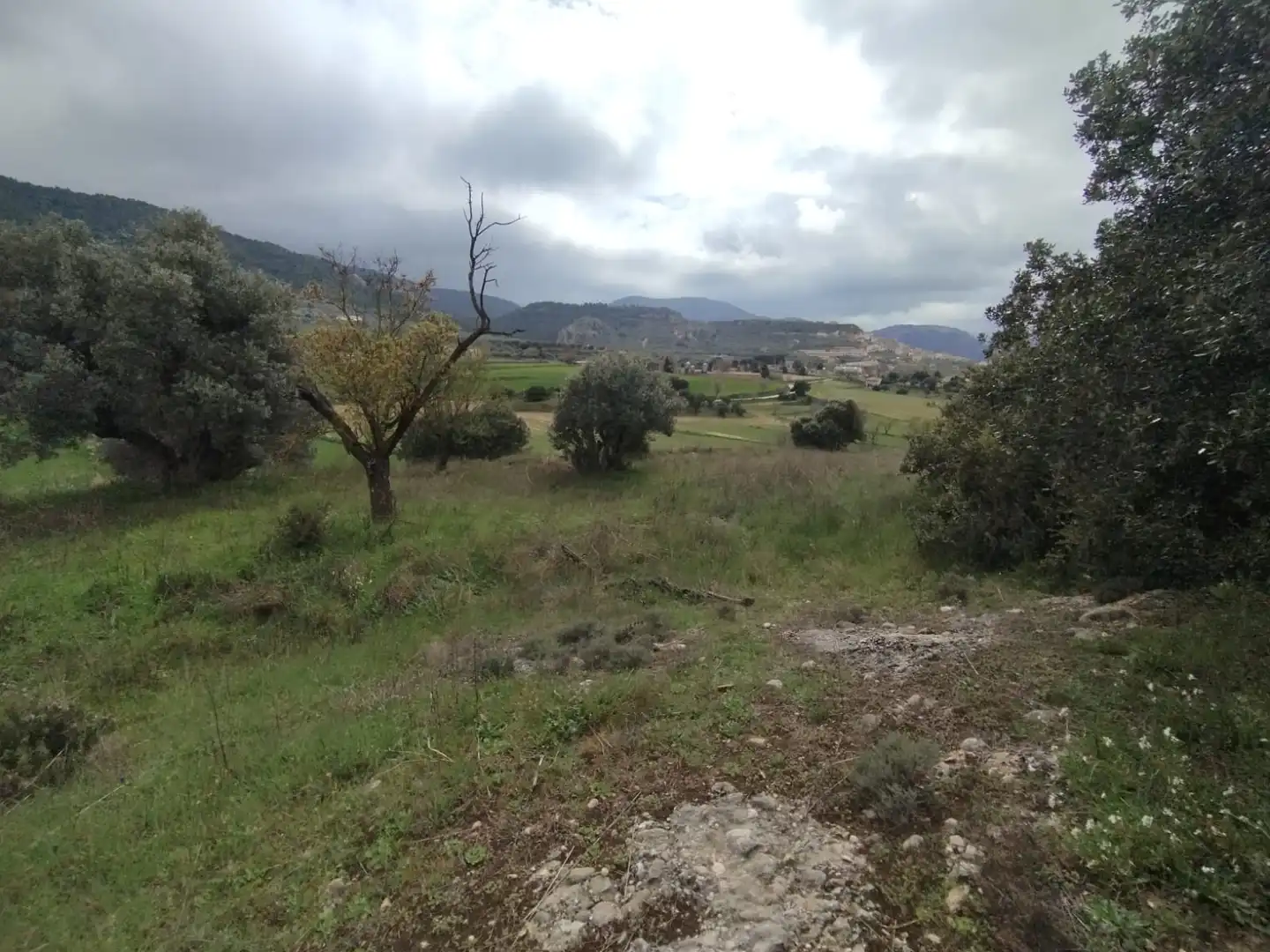 Terreni e lotti in vendita a Peñarroya de Tastavins, imagen 4