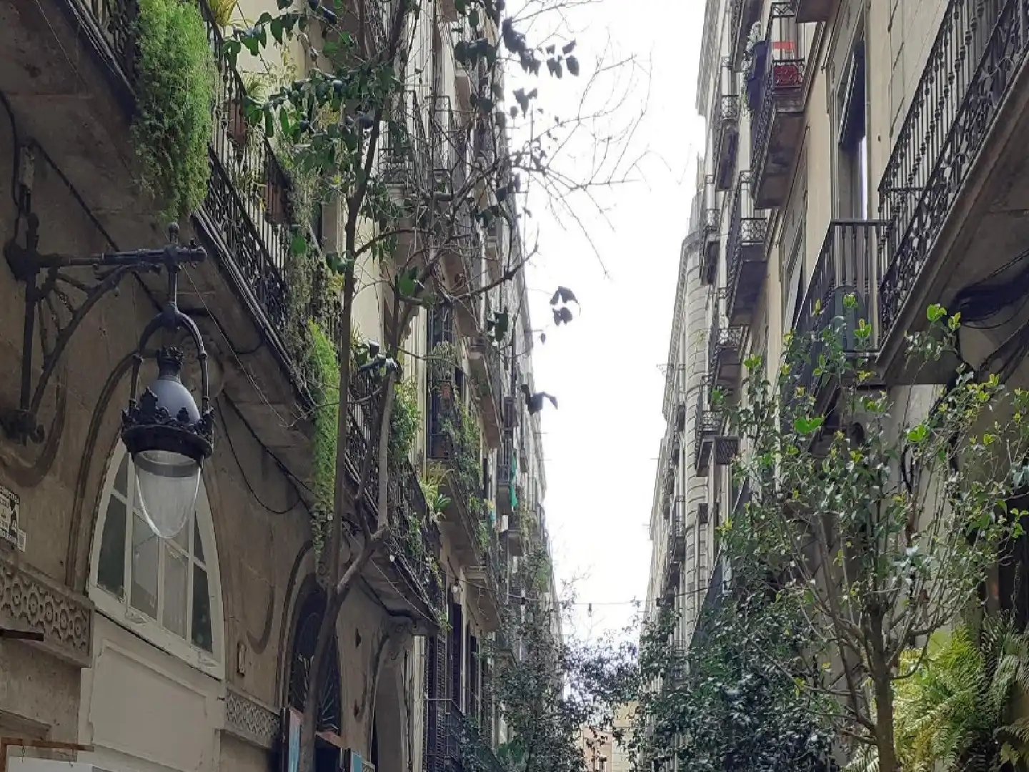 Vista exterior de Piso en venta en Ciutat Vella
