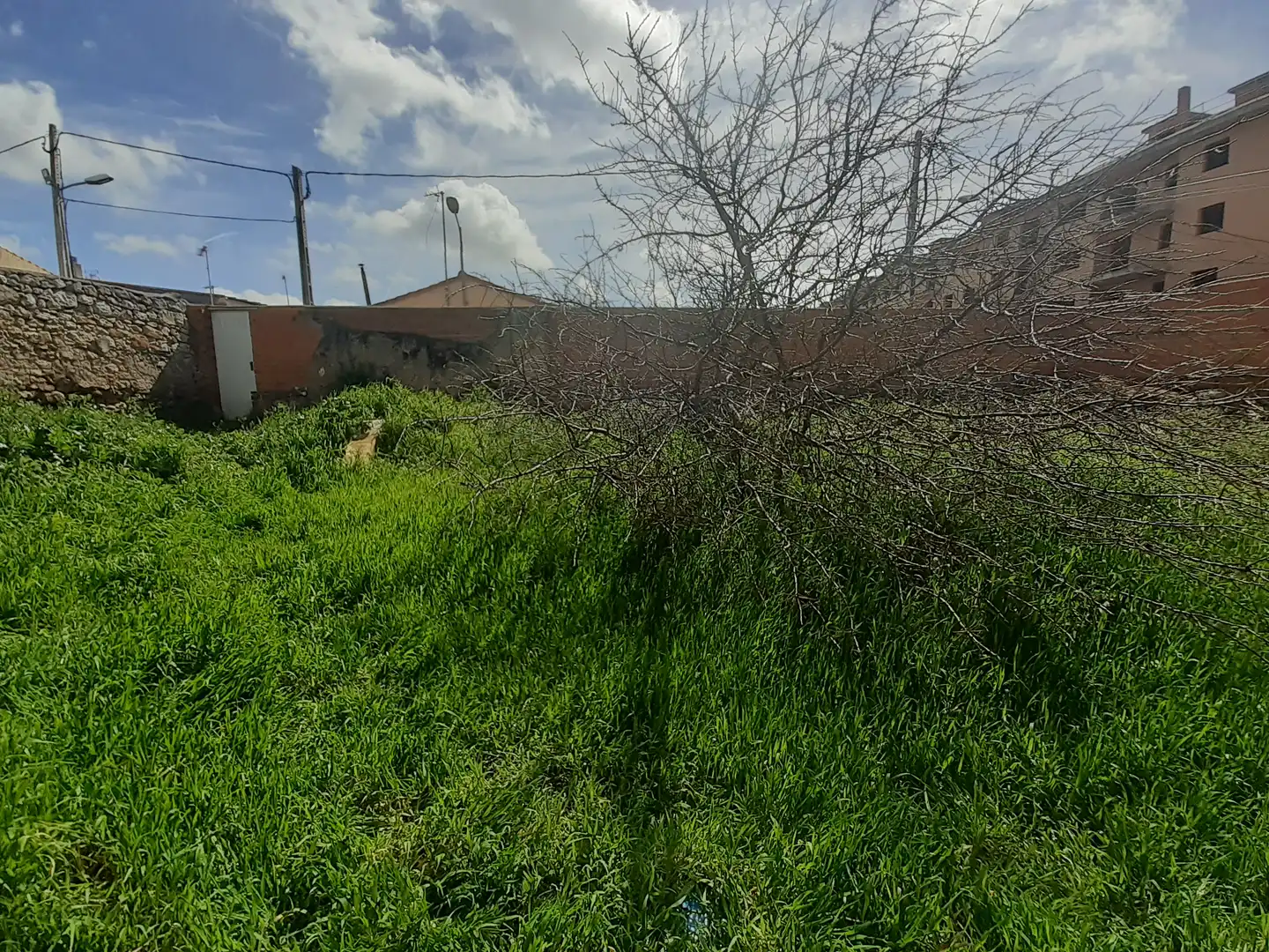 Terreni e lotti in vendita a Pinilla, imagen 5