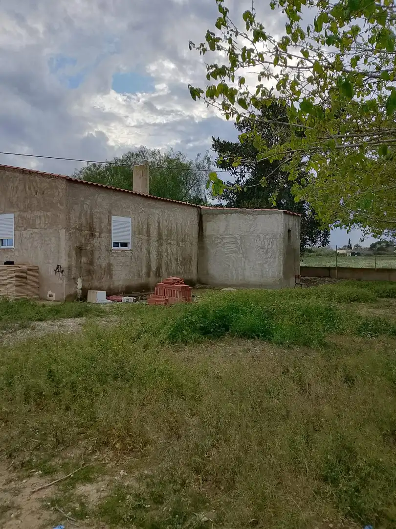 Finca rústica en venta en Daya Nueva