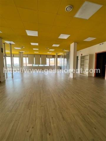 Oficina en Alquiler en Sa Indioteria Urbà