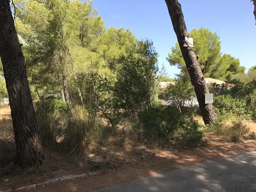 Terrenys i solars en venda a Betlem, imagen 3