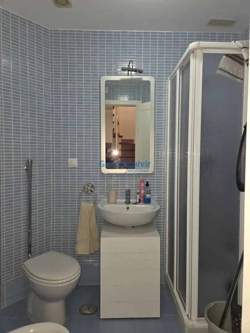 Bathroom of Detached homes for sale in Sevilla  with Air Conditioner, Heating and Terrace