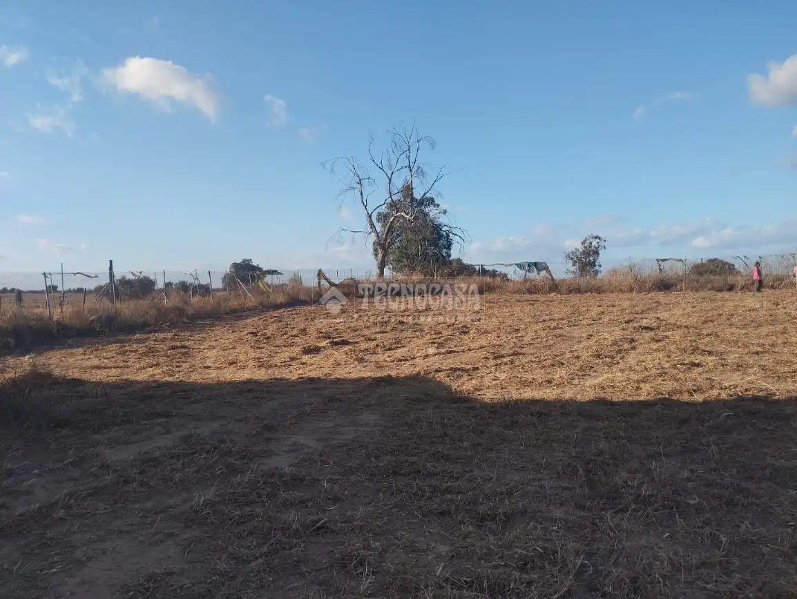 Finca rústica en venta en Aznalcázar