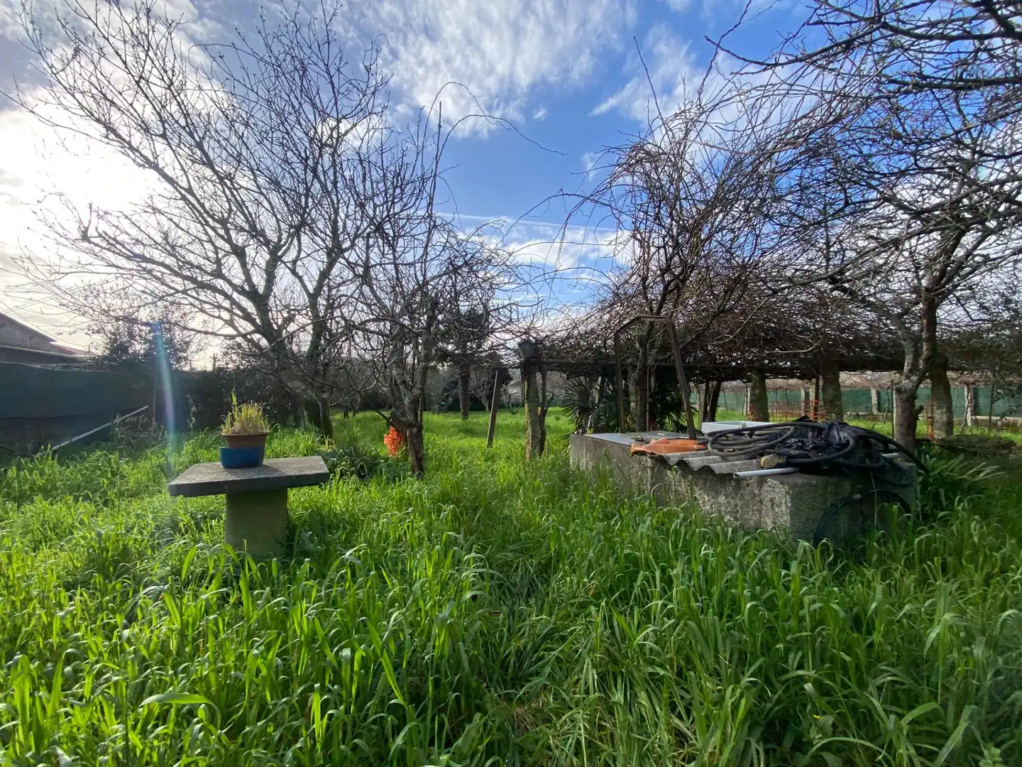 Jardín de Casa o chalet en venta en Caldas de Reis con Jardín privado
