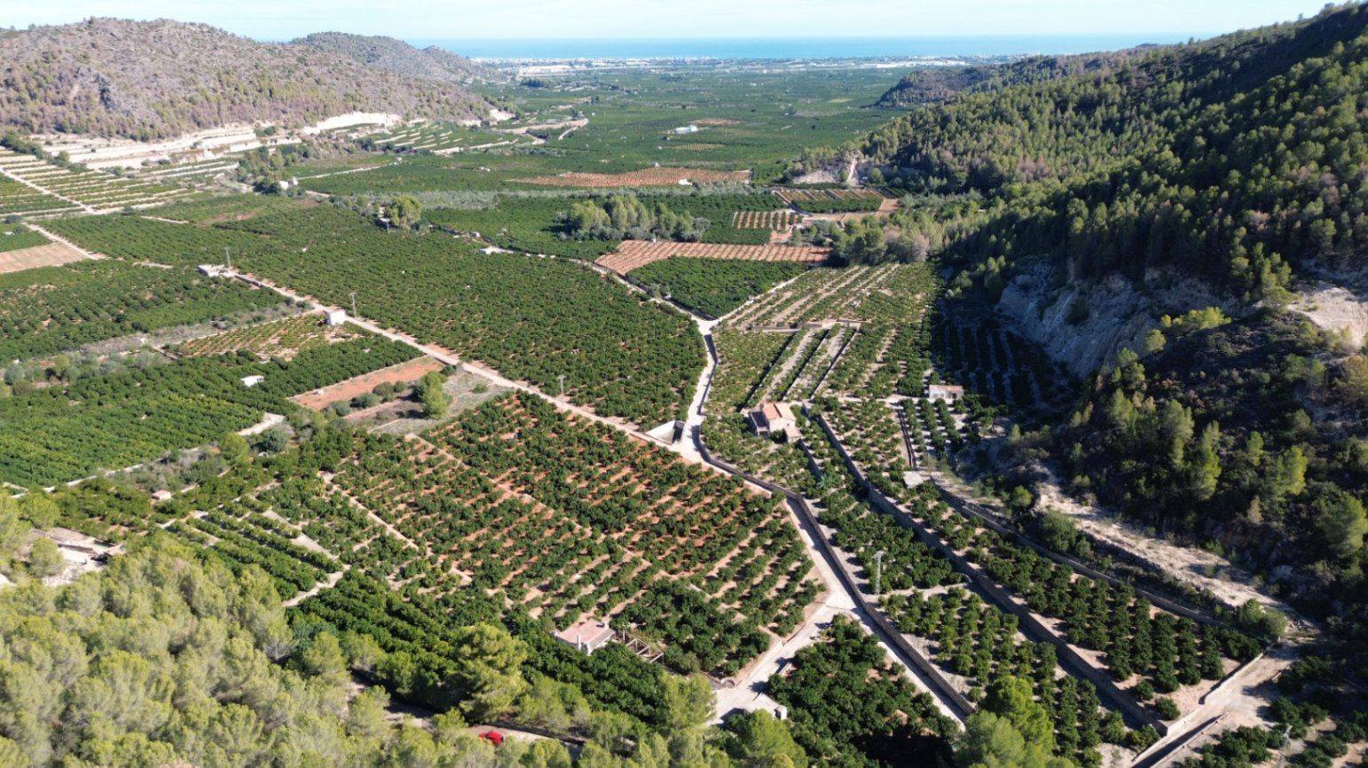 Exterior view of Country house for sale in Pego