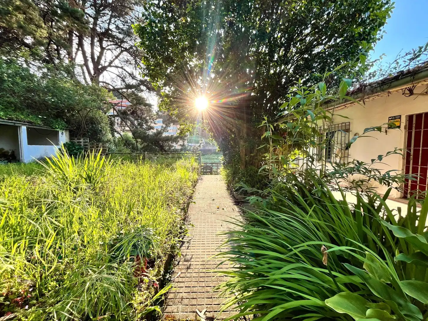 Garden of Houses for sale in Oleiros