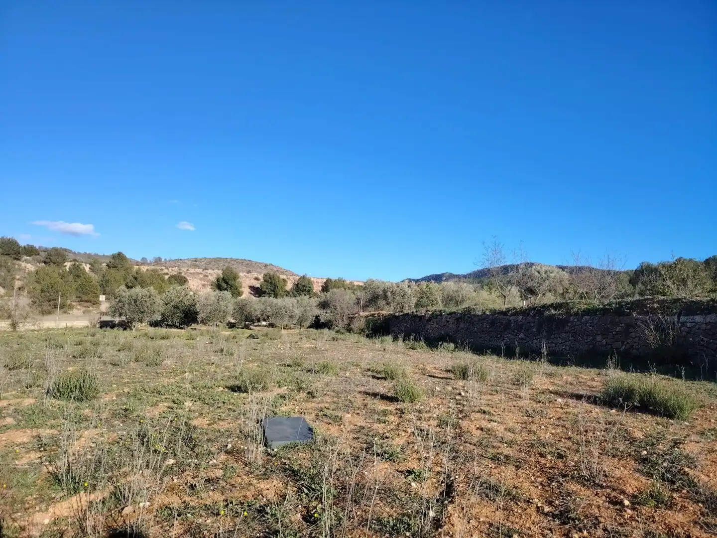 Hotel zum Verkauf in Hondón de las Nieves / El Fondó de les Neus, imagen 2