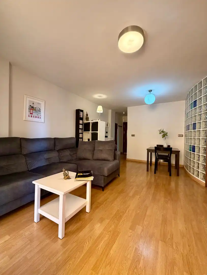 Sala d'estar de Pis en venda en Málaga amb Aire condicionat, Calefacció i Terrassa