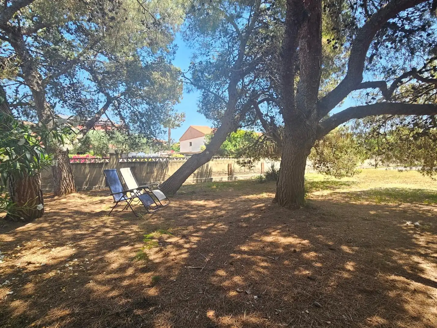 Jardín de Residencial en venta en Castellón de la Plana / Castelló de la Plana