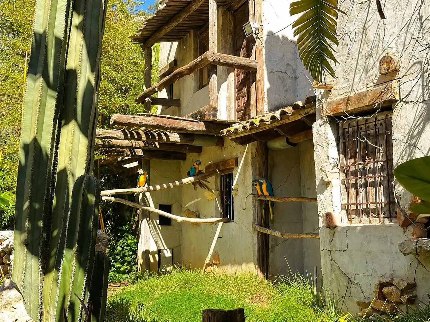 Garden of Country homes for sale in Llíber  with Air Conditioner, Heating and Private garden