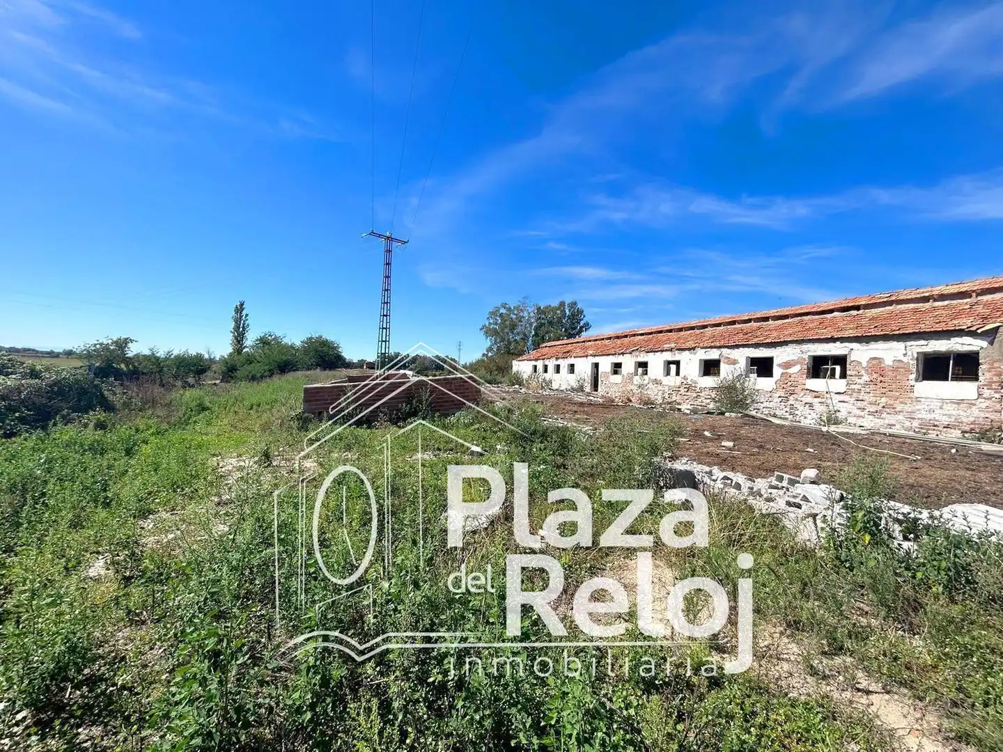 Land for sale in Pepino