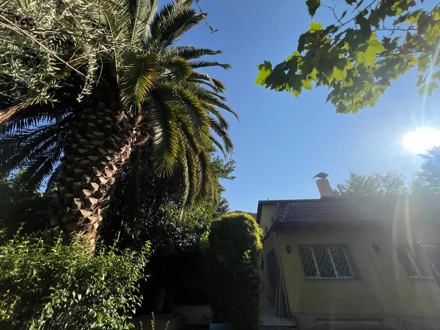 Vista exterior de Casa o xalet per a compartir en Madrid amb Aire condicionat, Calefacció i Jardí privat