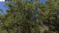 Garden of Land for sale in  Granada Capital