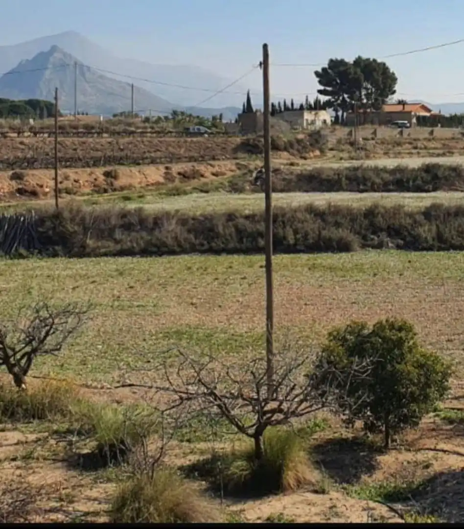 Residential land for sale in Novelda, imagen 5