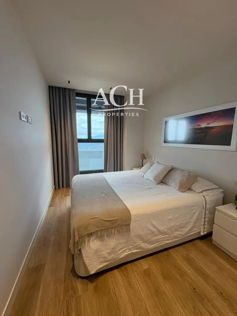 Wohnung mit Terrasse zur Miete in de la Dirección, imagen 9