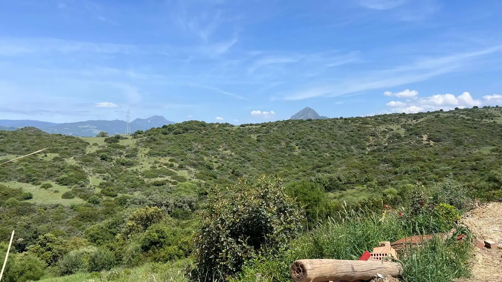 Finca rústica en venta en Casares