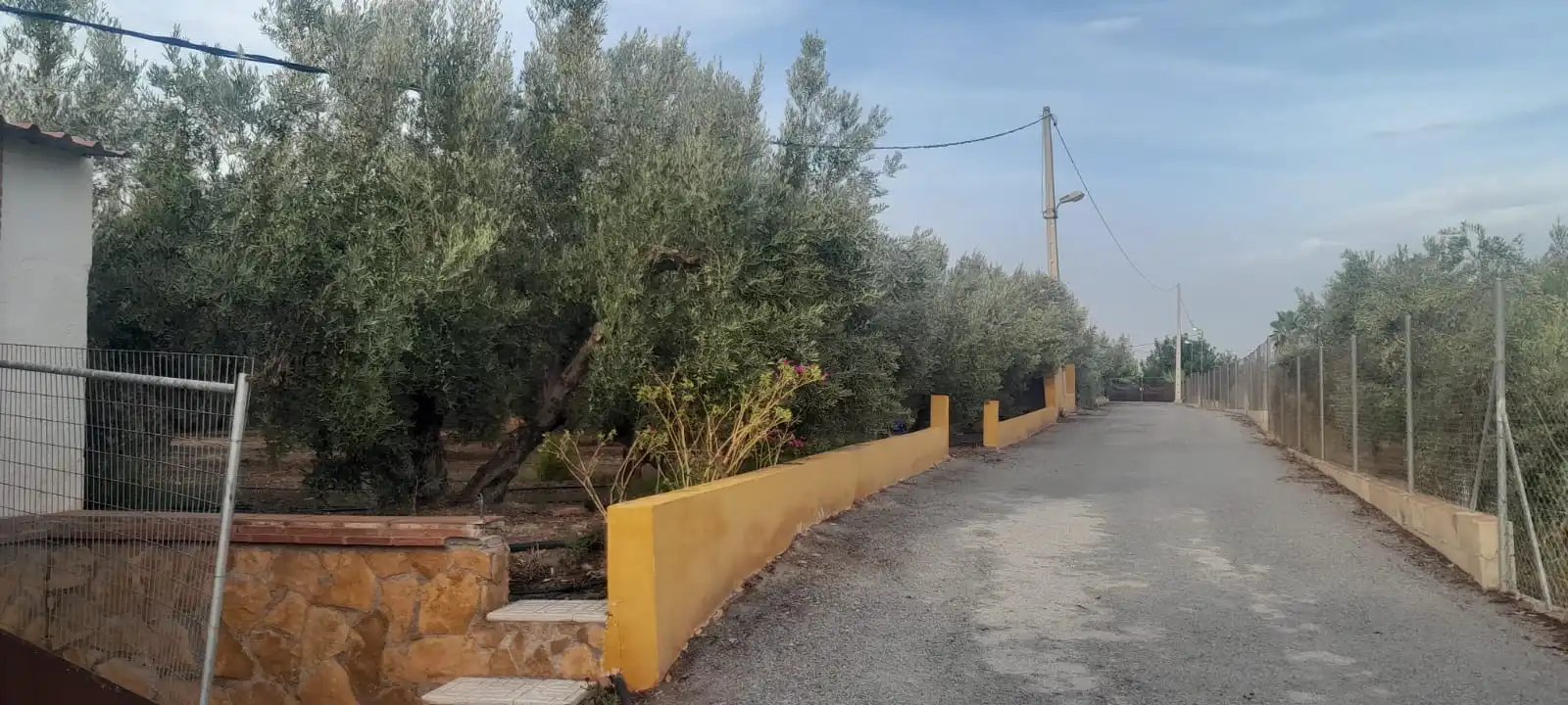 Terreny rústic en venda a Camino Viejo de Cela, imagen 4