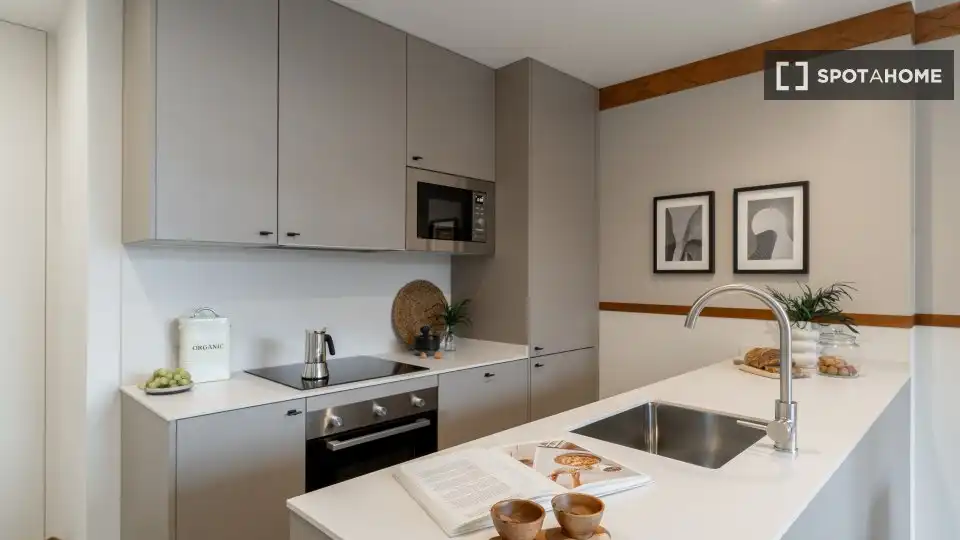 Cuina de Apartament per a compartir en Madrid amb Aire condicionat, Terrassa i Moblat