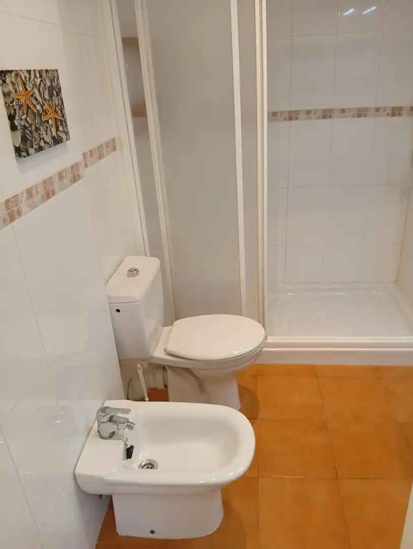 Bathroom of Flat for rent in Málaga  with Air Conditioner, Terrace and Furnished