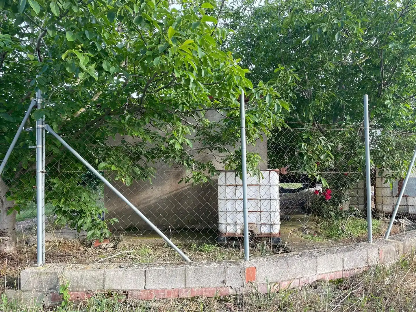 Rural land for sale in Sant Pere Pescador, imagen 15
