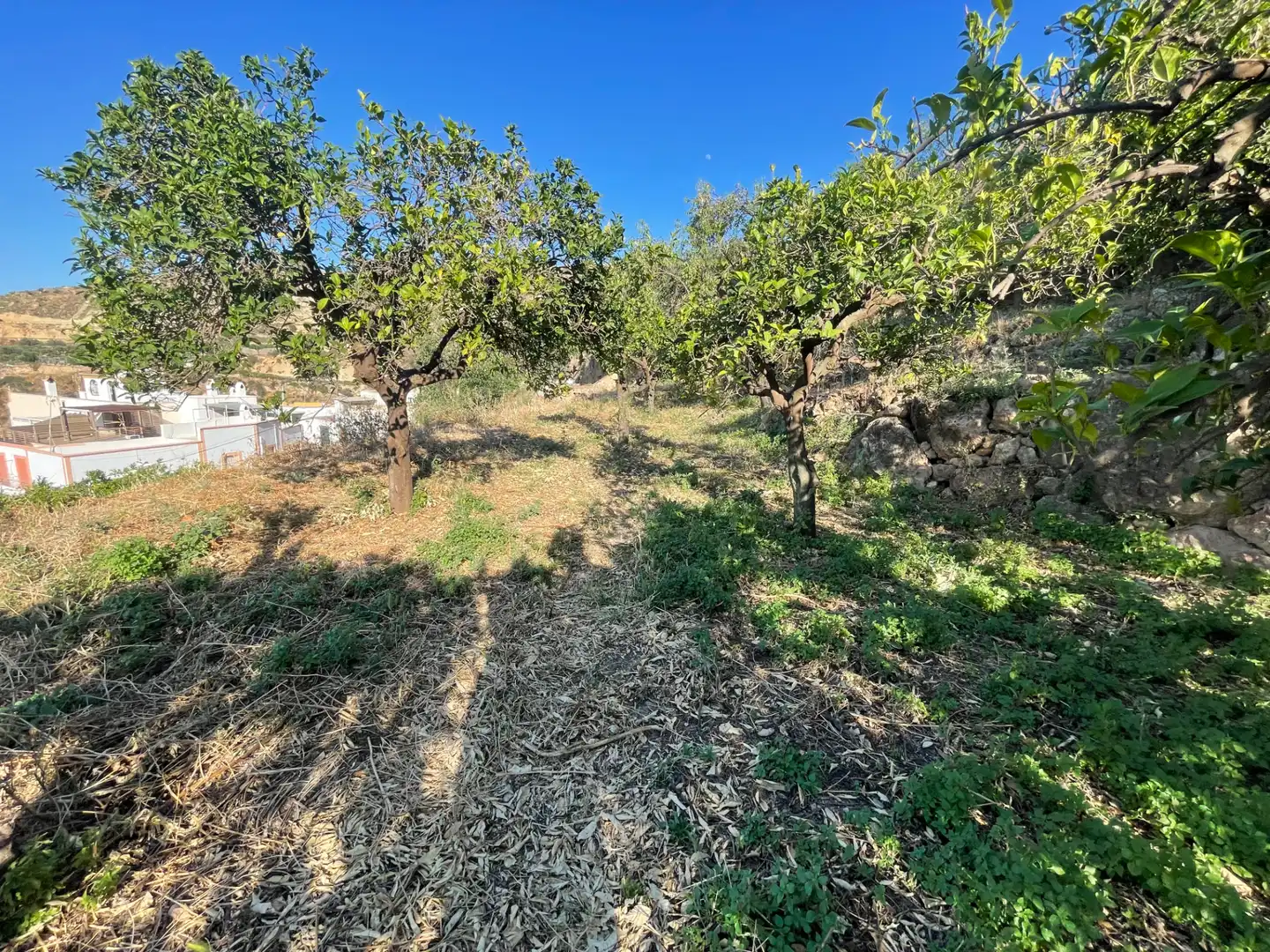 Terreno en venta en Alicún