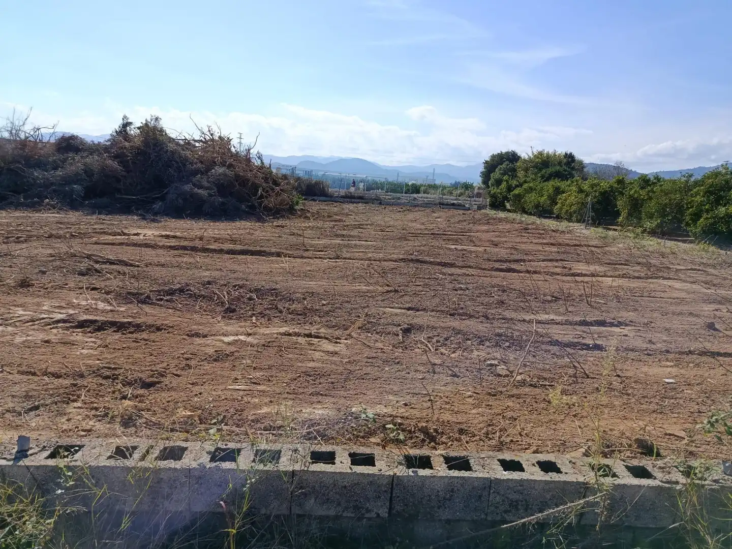 Terreny rústic en venda a Polígono siete 2020, imagen 14