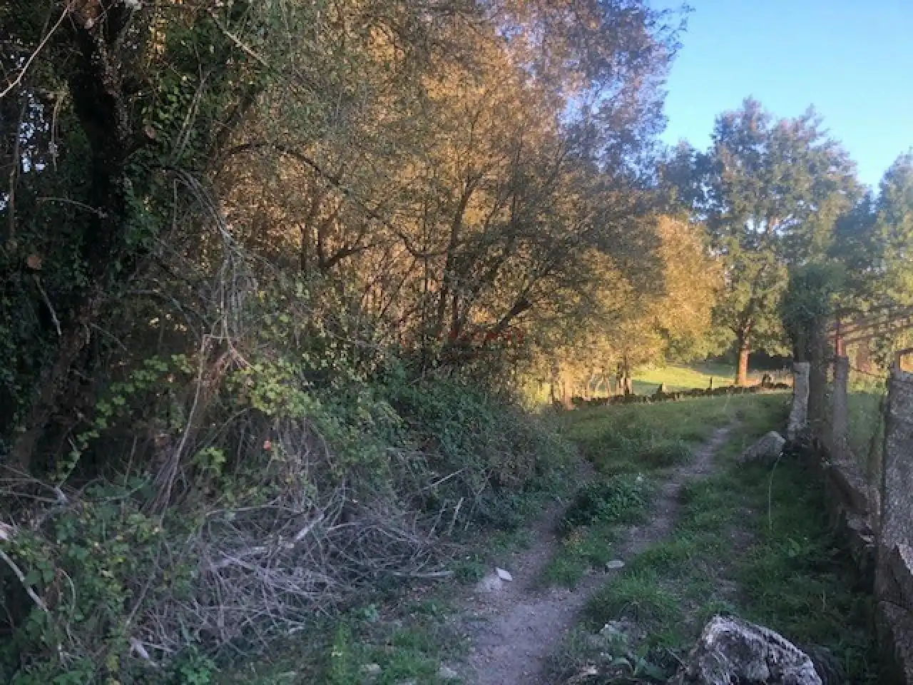 Terreni e lotti in vendita a Nogueira de Ramuín, imagen 7