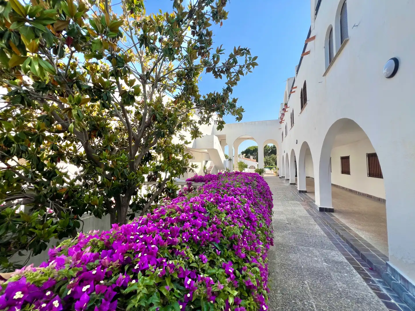 Jardí de Loft en venda en Alcalà de Xivert amb Aire condicionat, Terrassa i Traster