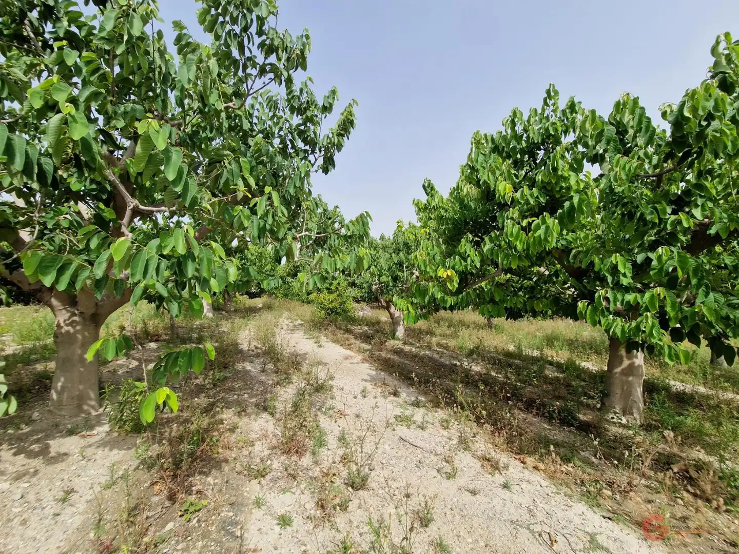 Country homes for sale in Lobres