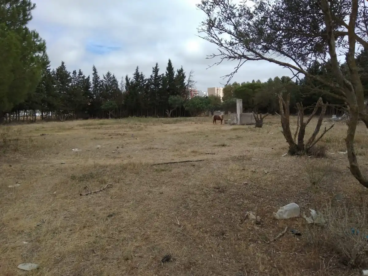 Terrenys i solars en venda a Las Canteras, imagen 3