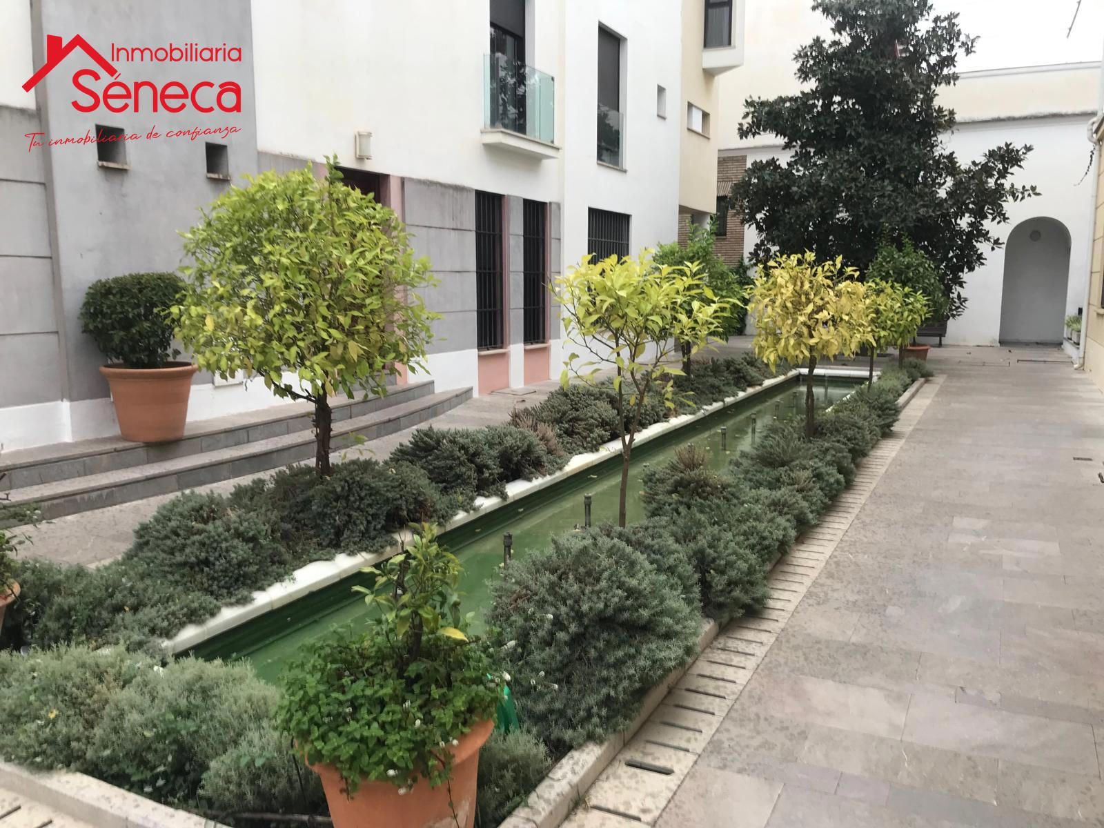 Piso de alquiler en Casco Histórico  - Ribera - San Basilio