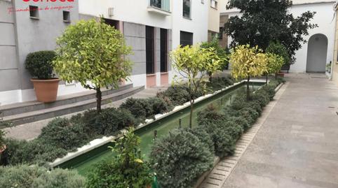 Foto 2 de Piso de alquiler en Casco Histórico  - Ribera - San Basilio,  Córdoba Capital