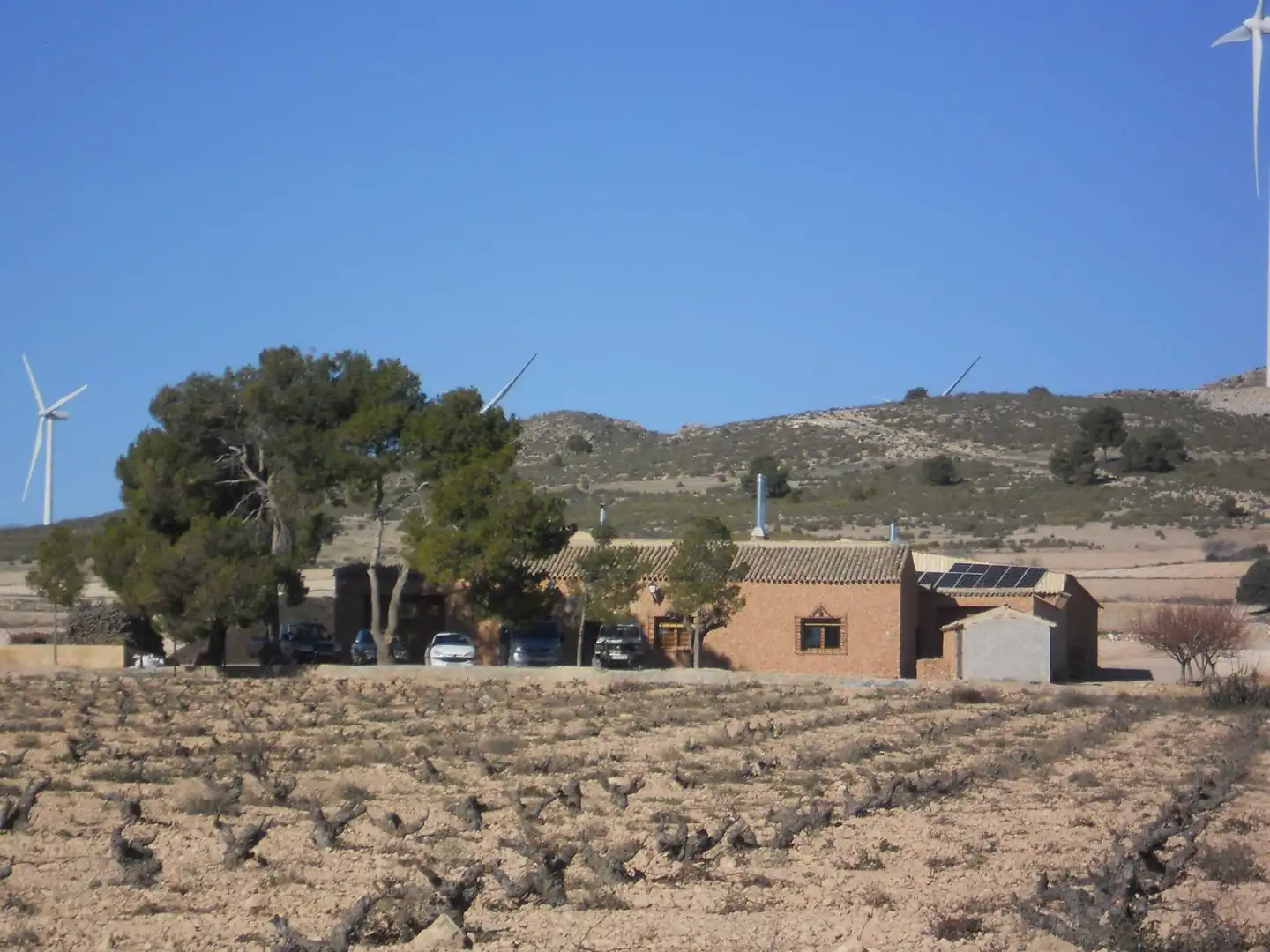 Exterior view of Country homes for sale in Jumilla  with Furnished