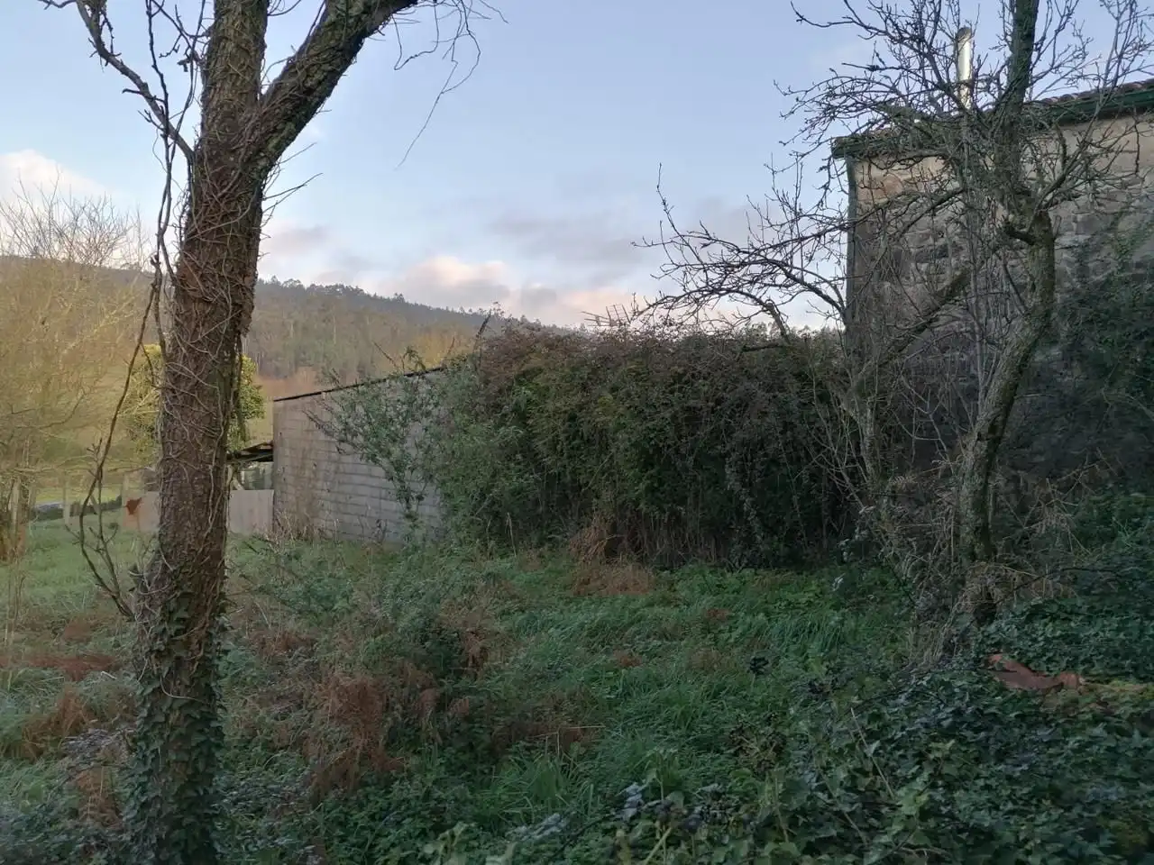 Country homes for sale in Brión