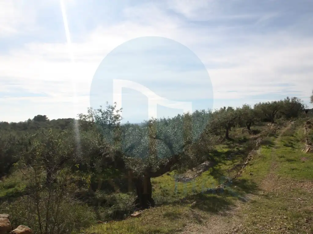 Country homes for sale in El Perelló, Tarragona