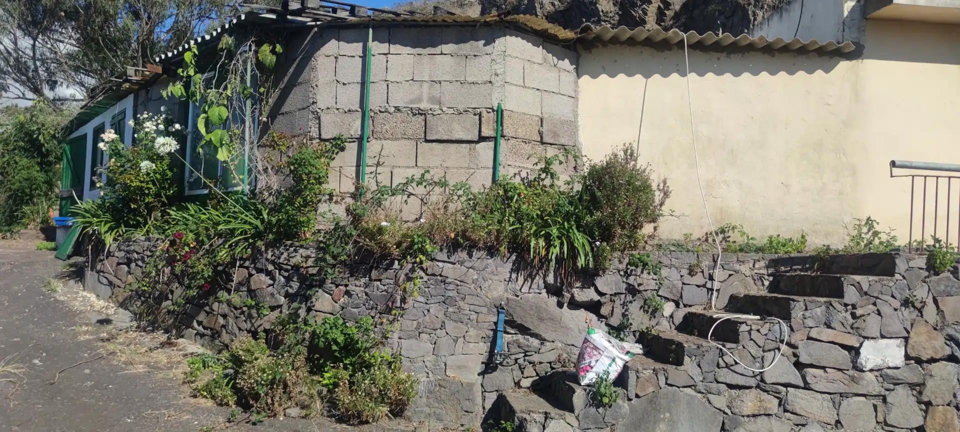 Vista exterior de Terreno en venta en Tegueste