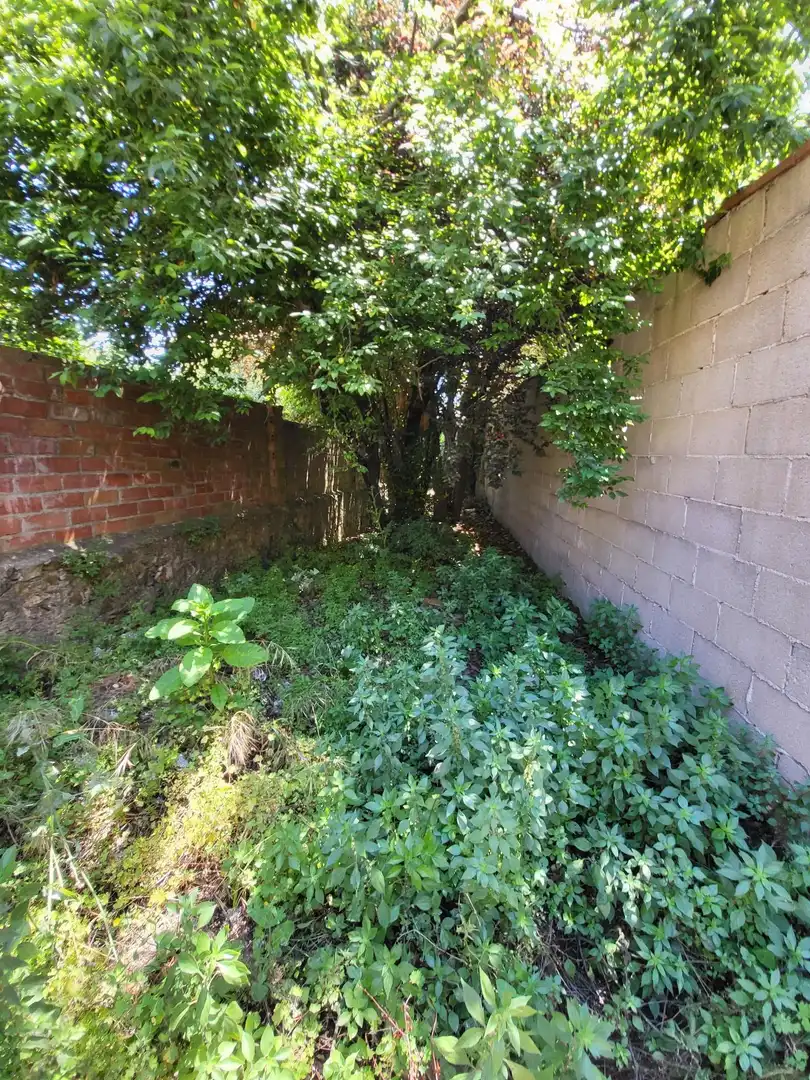 Villa à vendre à Calle Major, imagen 14
