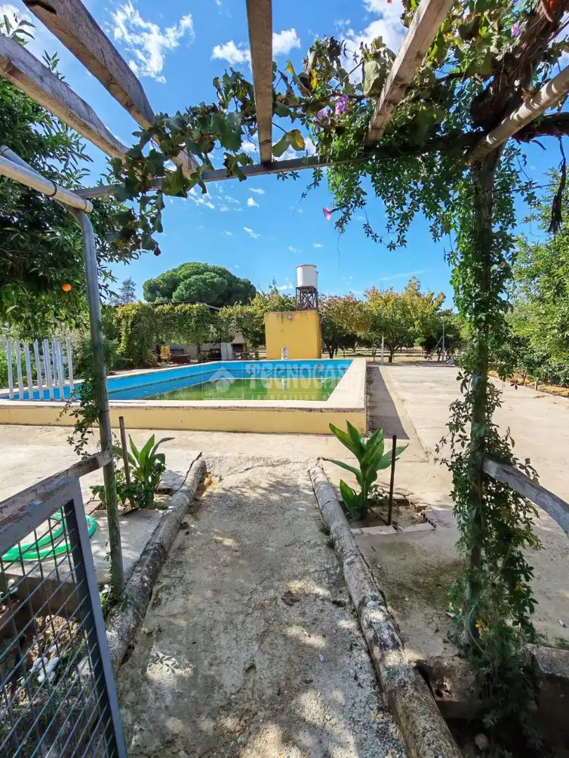 Piscina de Finca rústica en venta en Marchena con Aire acondicionado