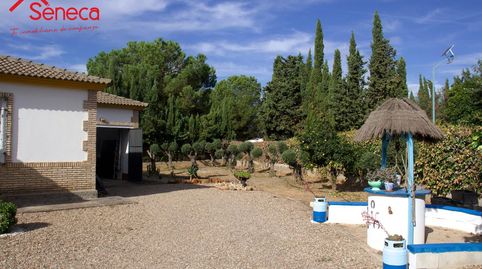 Foto 2 de Casa o chalet en venta en De la Malvasía, Villarrubia, Córdoba Capital