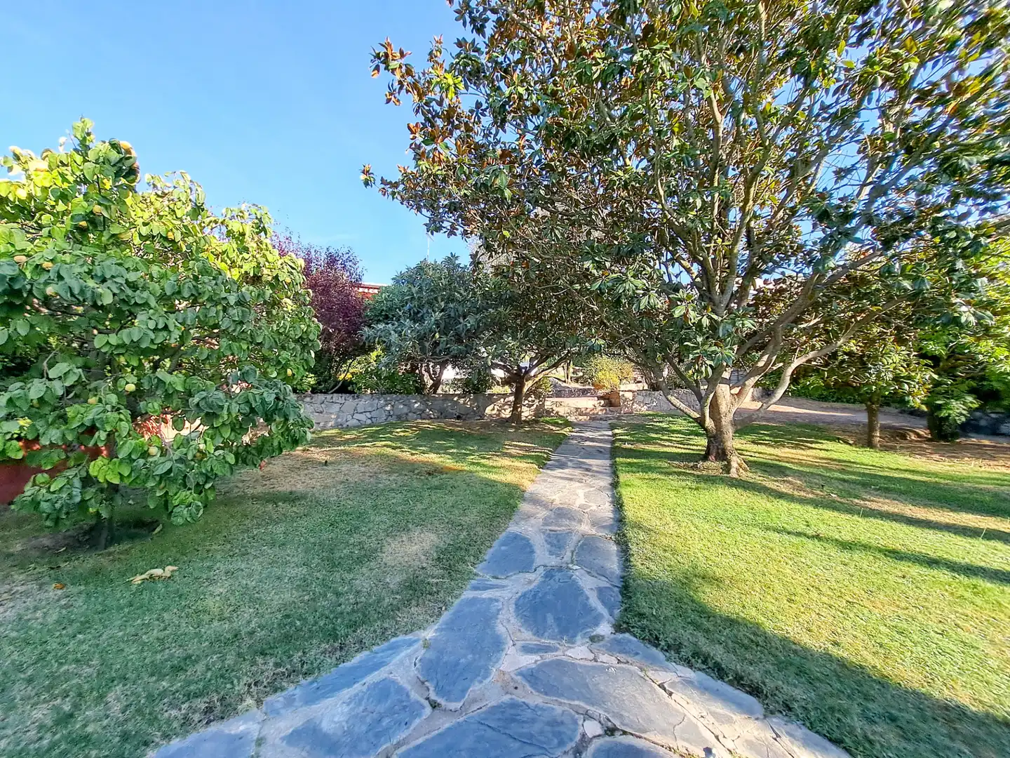 Villa avec jardin à vendre à Colonia, imagen 44