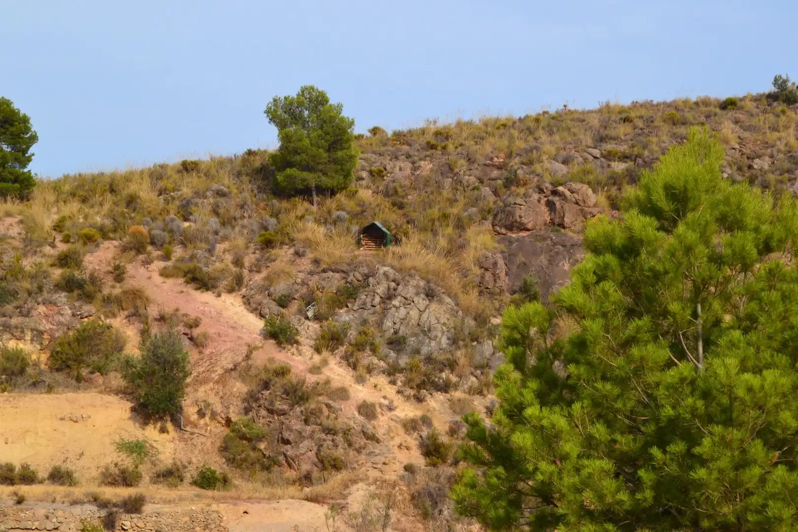 Country homes for sale in Lorca  with Private garden
