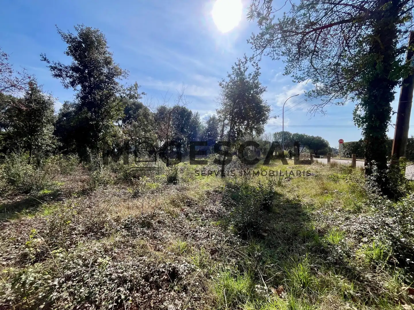 Terrenys i solars en venda a LLUIS BADO, imagen 9