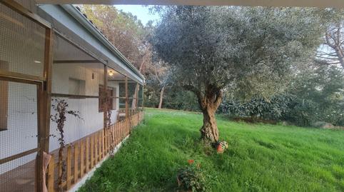 Photo 5 of Land for sale in Argentona Est, Barcelona